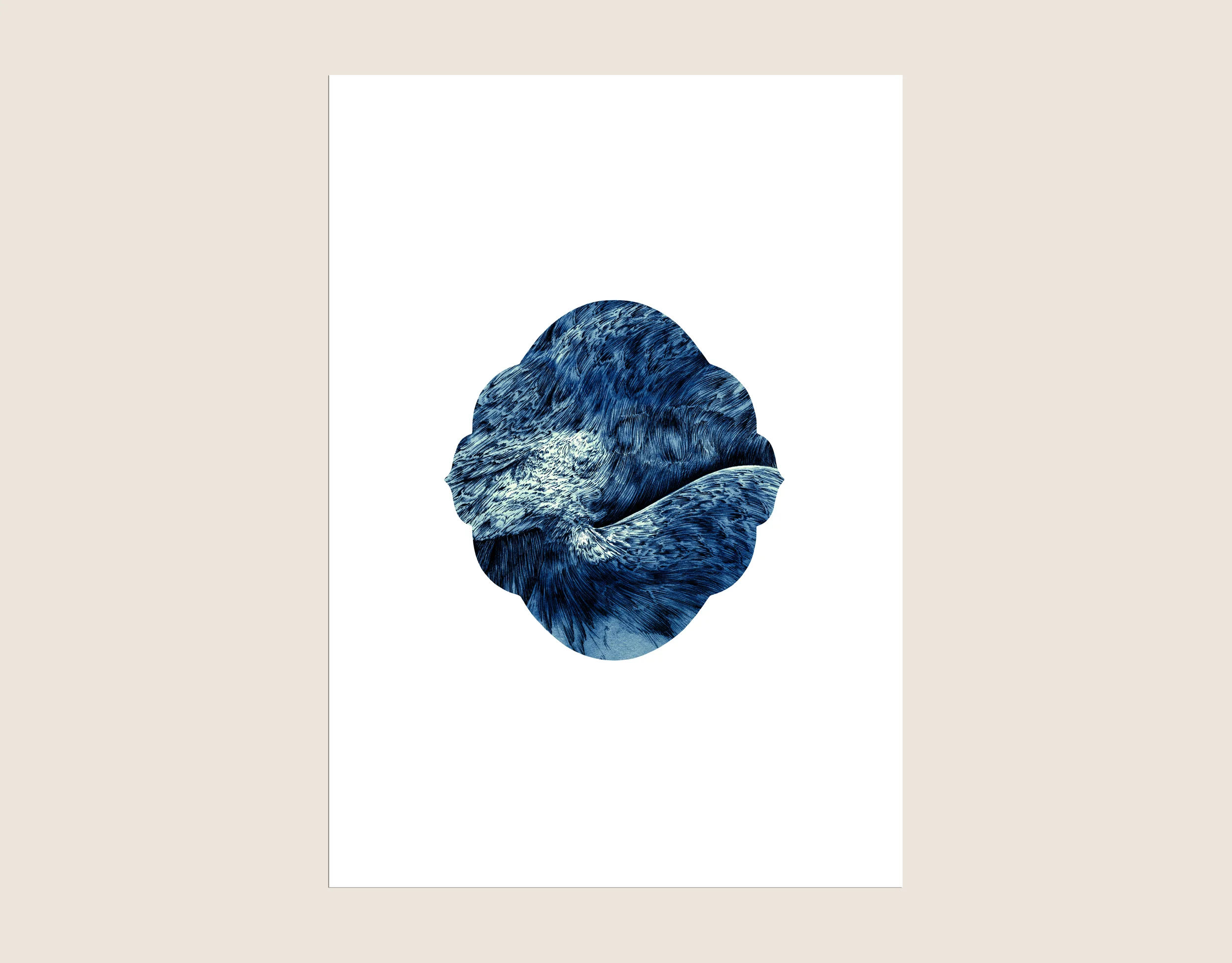 Blue rose