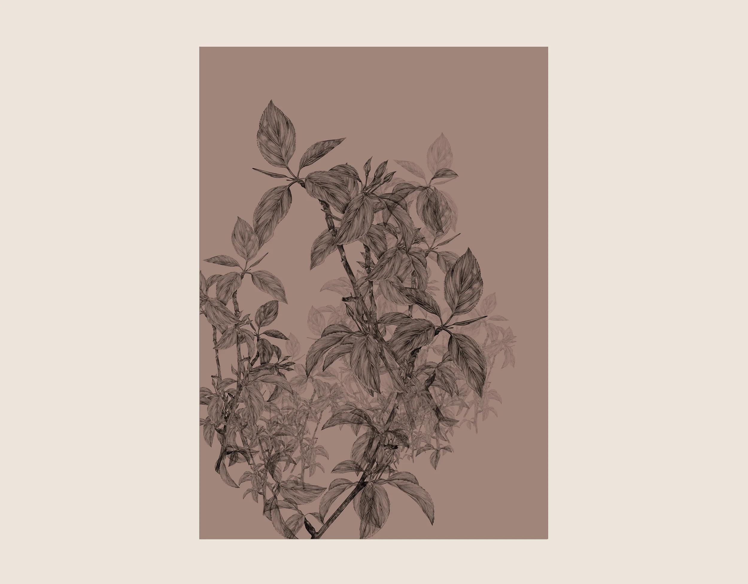 Branch
