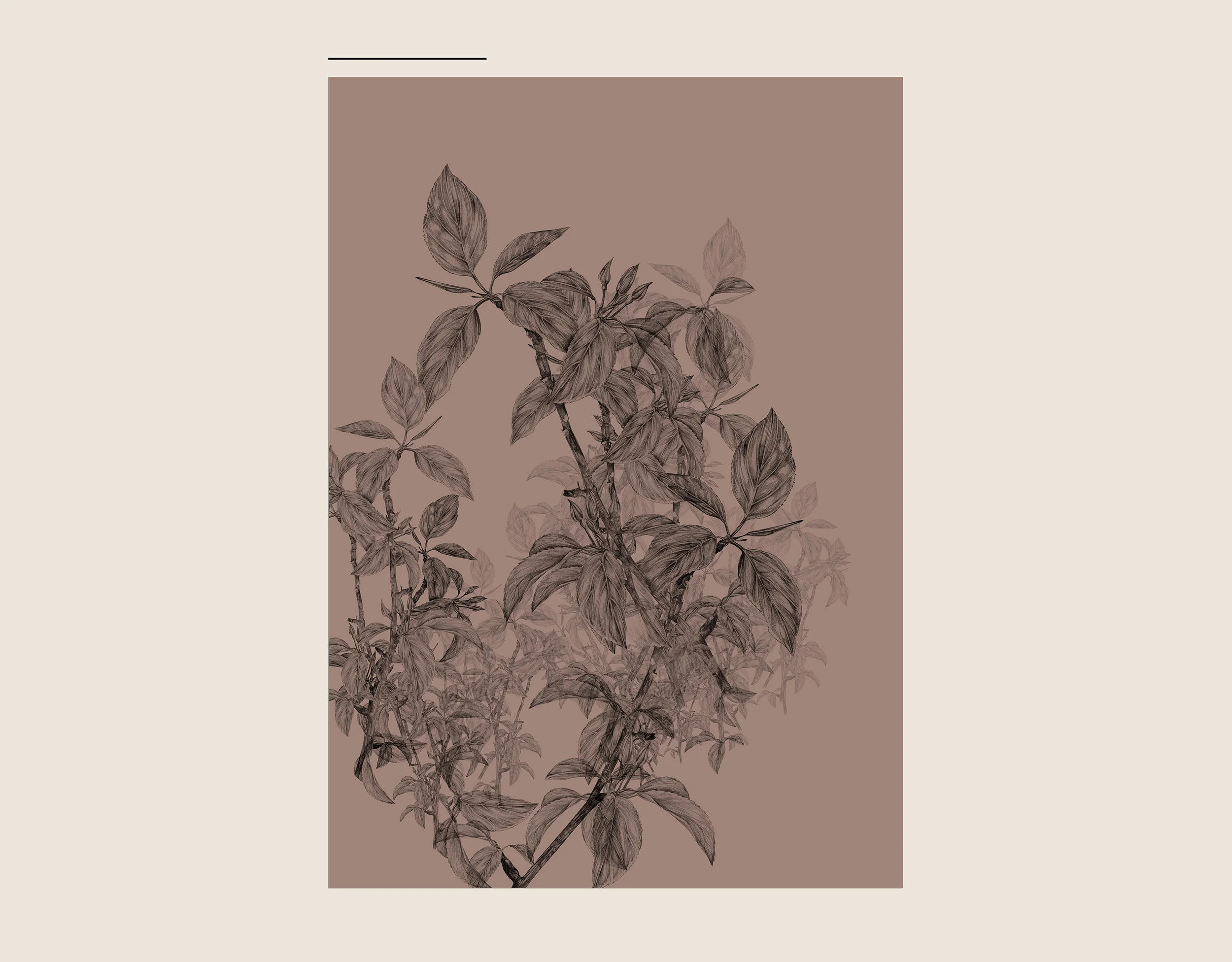 BRANCH_test.jpg