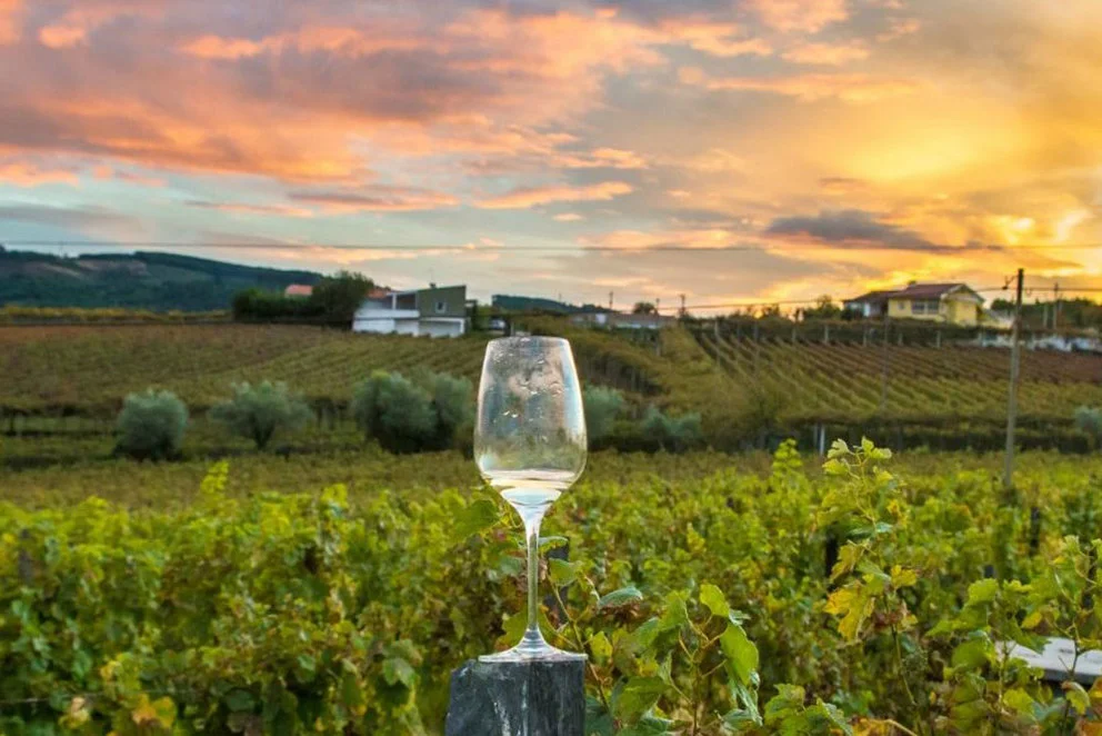napa wine tours.jpg