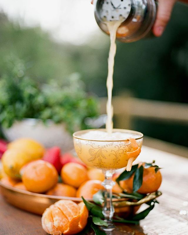 Cocktail Time.... Shelf Road- fresh Pixie tangerine juice, Pixie shrub, lemon juice, gin, simple syrup, lavender bitters, rosemary garnish⠀
⠀
📸 Photography by @annadelores @rhianna_annadelores 🍗Food by @feastandfestsb 🌸Florals by @idlewildfloral ?