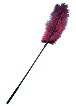 SS70004_OstrichTickler-Burgundy-ProductShot_267x373.jpeg