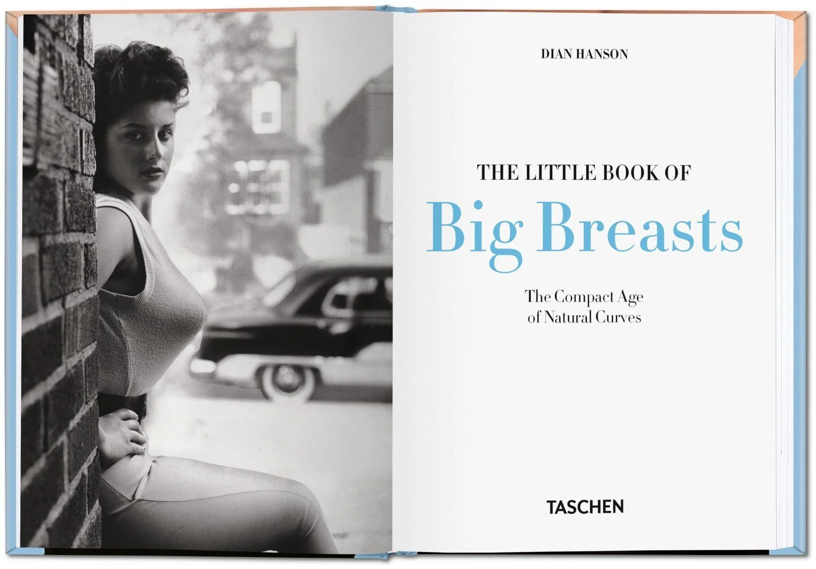 littlebigbreasts1.jpeg
