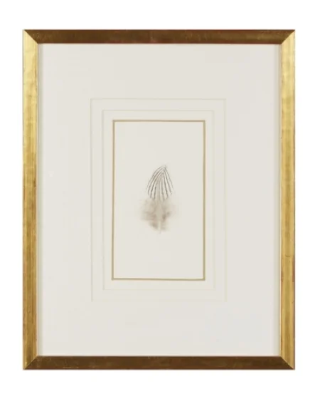 Feathers Frank Thomas Art Design Feathers Frank Thomas Art Design