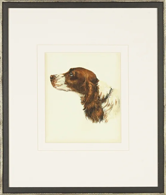 Cocker Spaniel #67554z (Frame 1300-575)