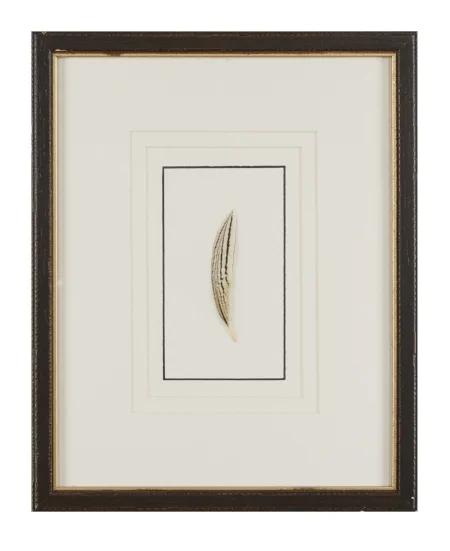 Feathers Frank Thomas Art Design Feathers Frank Thomas Art Design