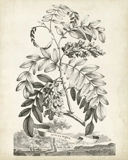 AM2