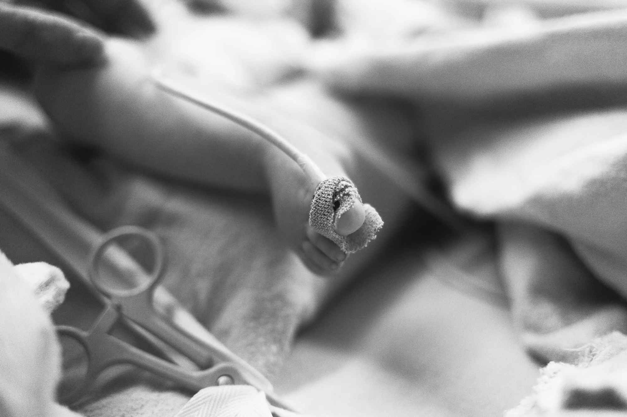 Stella-01-BW.jpg