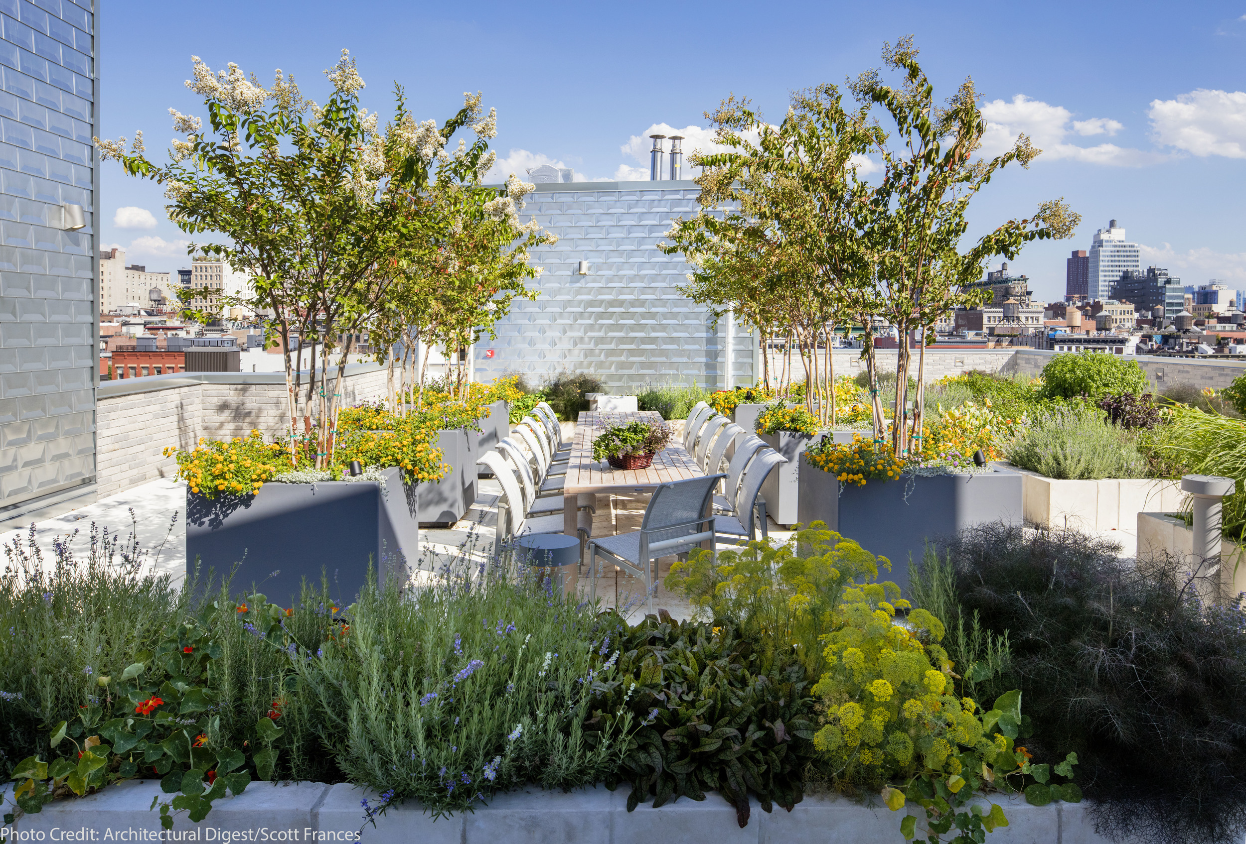 rooftop herb garden — rent at god's love we deliver
