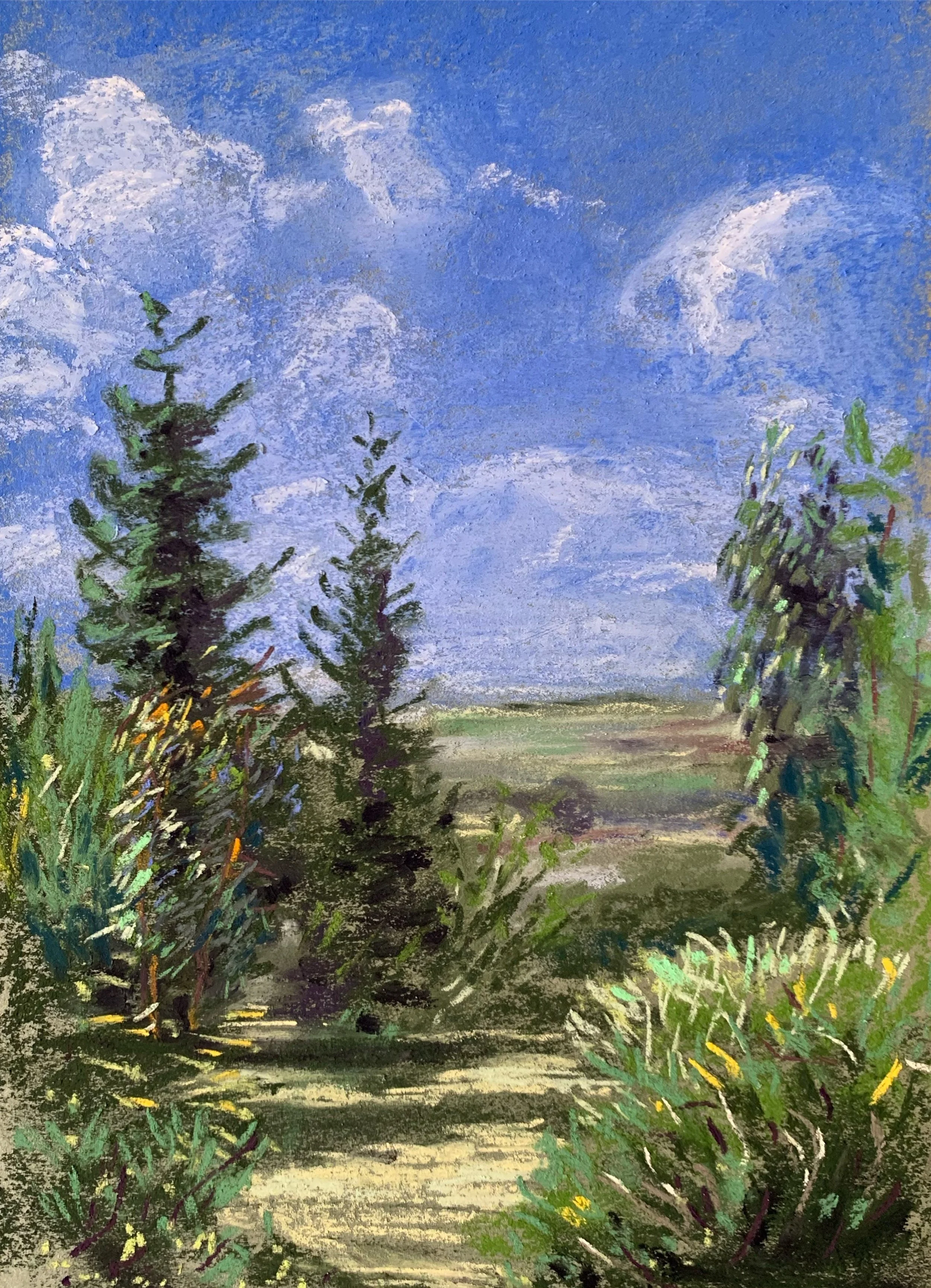 Open Pines on Green Paper.JPG