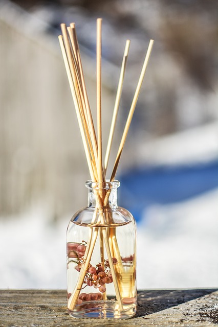 Diffuse Aromatherapy Essential Oils