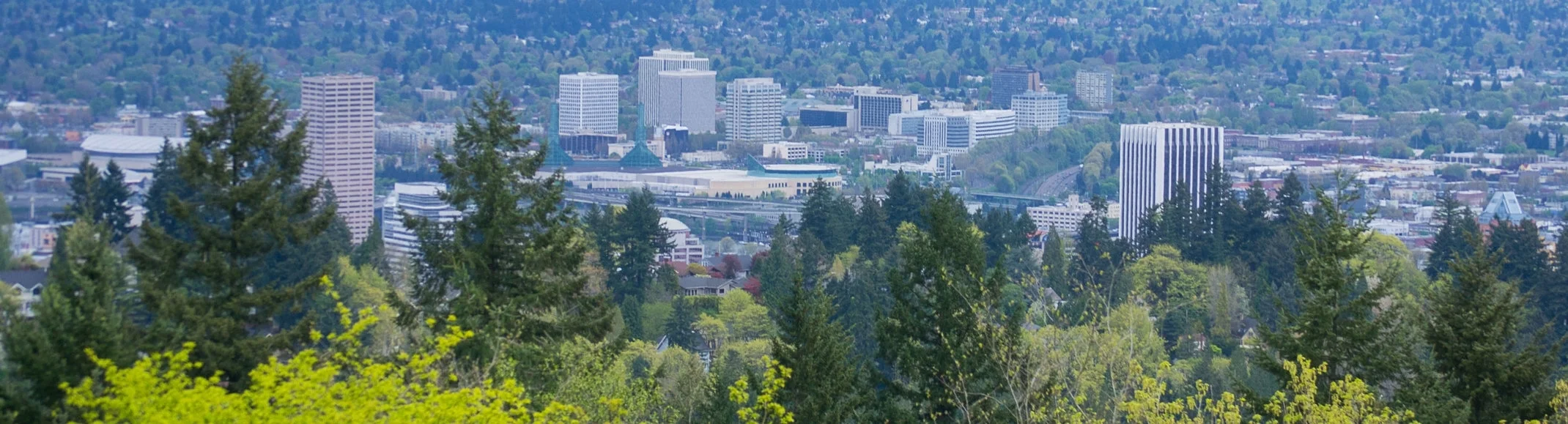 Portland,_Oregon_from_Council_Crest_Park.jpg