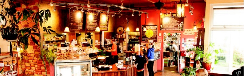 Chaco Canyon Organic Cafe Image.jpg