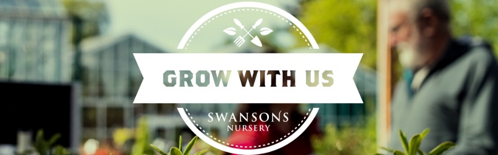 Swansons Image.jpg