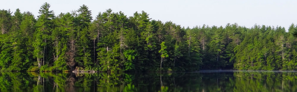 Natural+Mirror.jpg