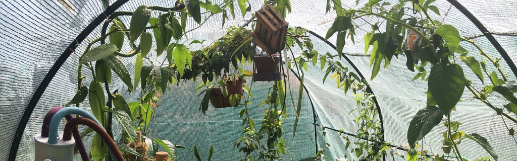 image6.jpeg