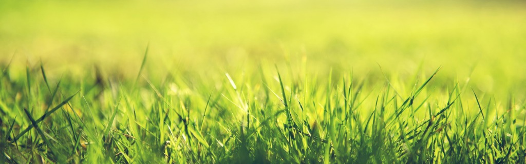 spring-and-nature-background-concept-picture-id656494916.jpg