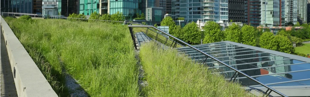 grass-growing-on-a-green-roof-picture-id495609437.jpg