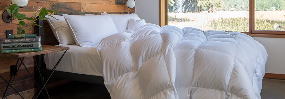 feathered friends comforter