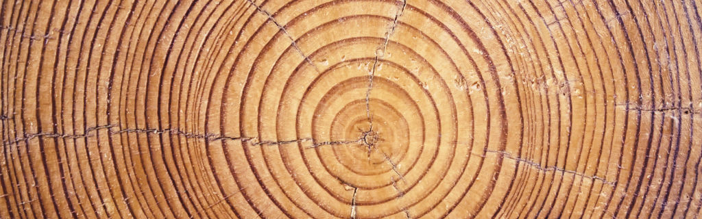 wood.jpg