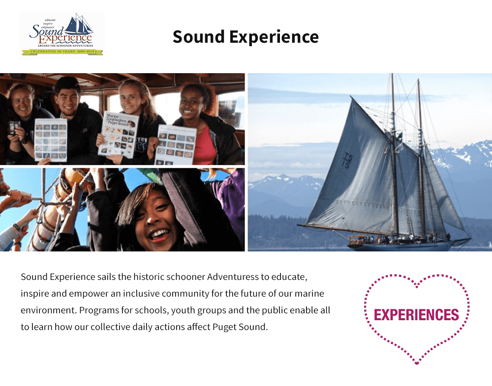 Sound Experience .png