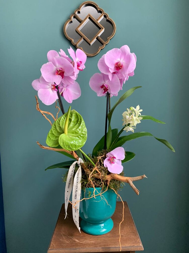 ORQUÍDEA DECORADA — Flor de Lima