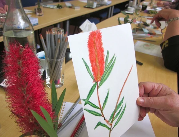 Drawing from nature - Carers' Carnival 2012