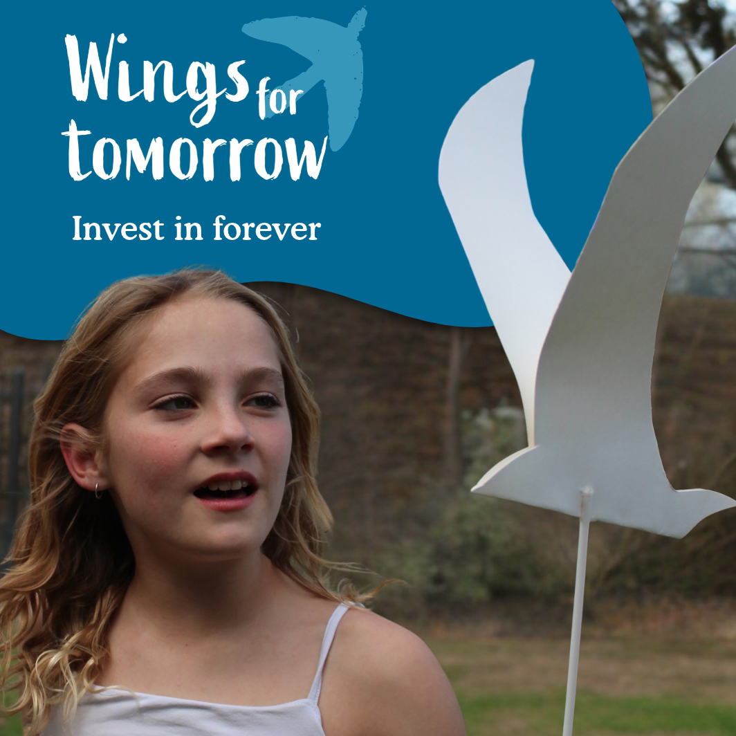 Wings for tomorrow