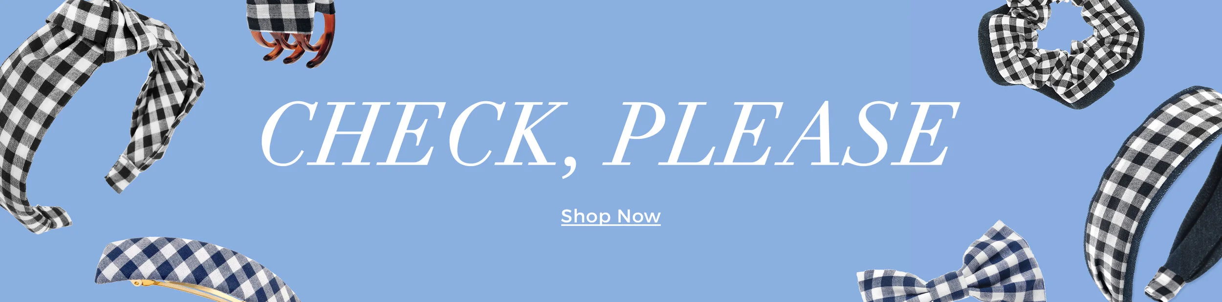 Gingham_Homepage_Banner copy.jpg