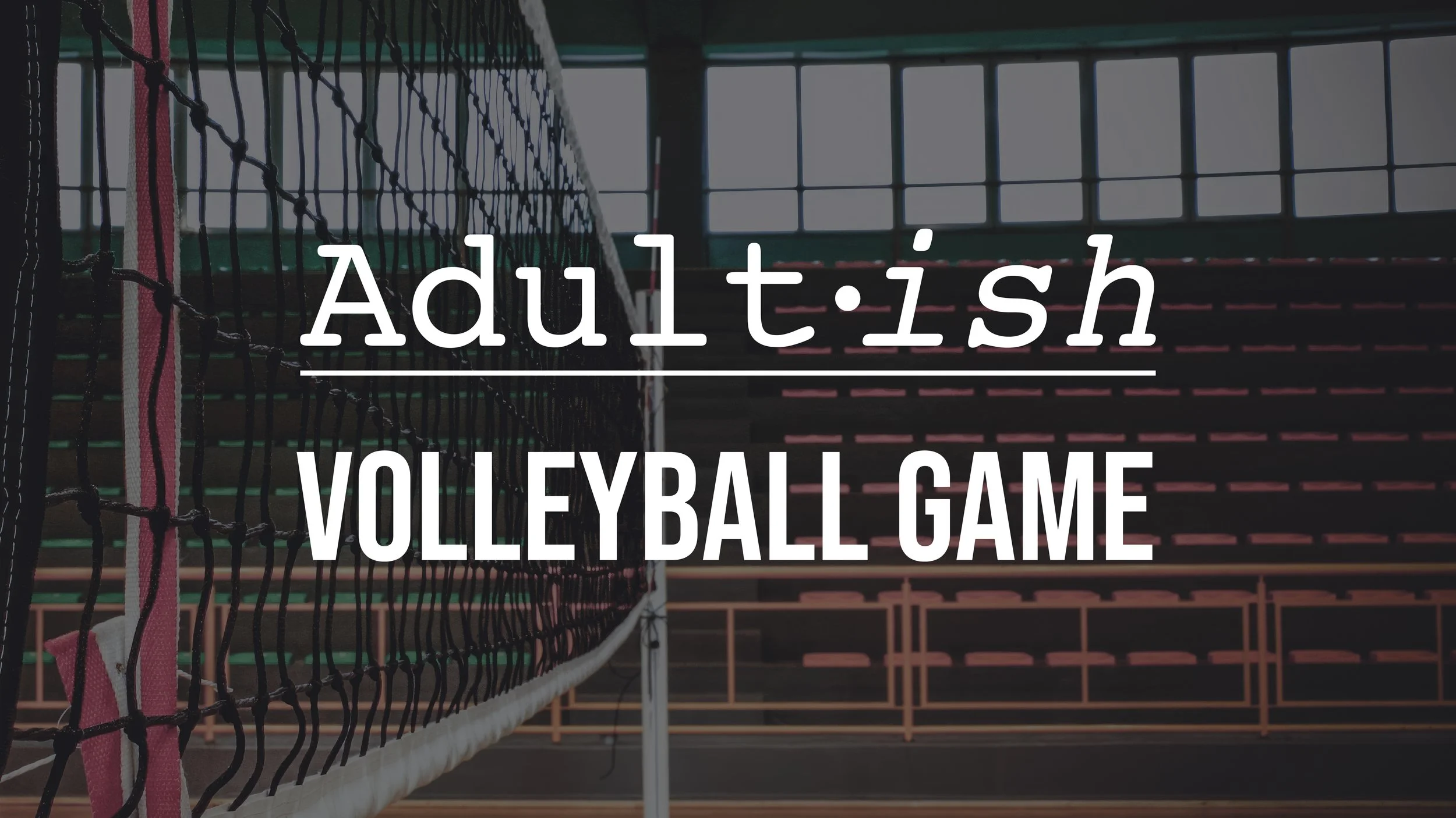 Adult-ish Volleyball Game