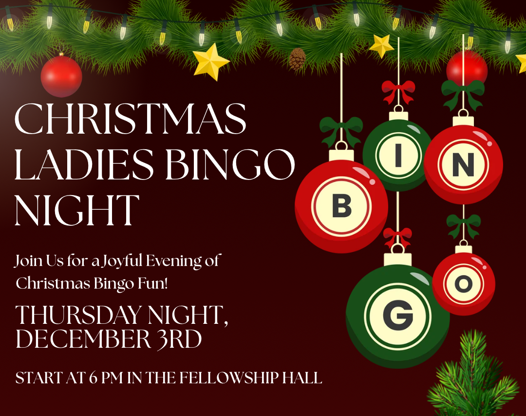 Christmas Ladies Bingo Night