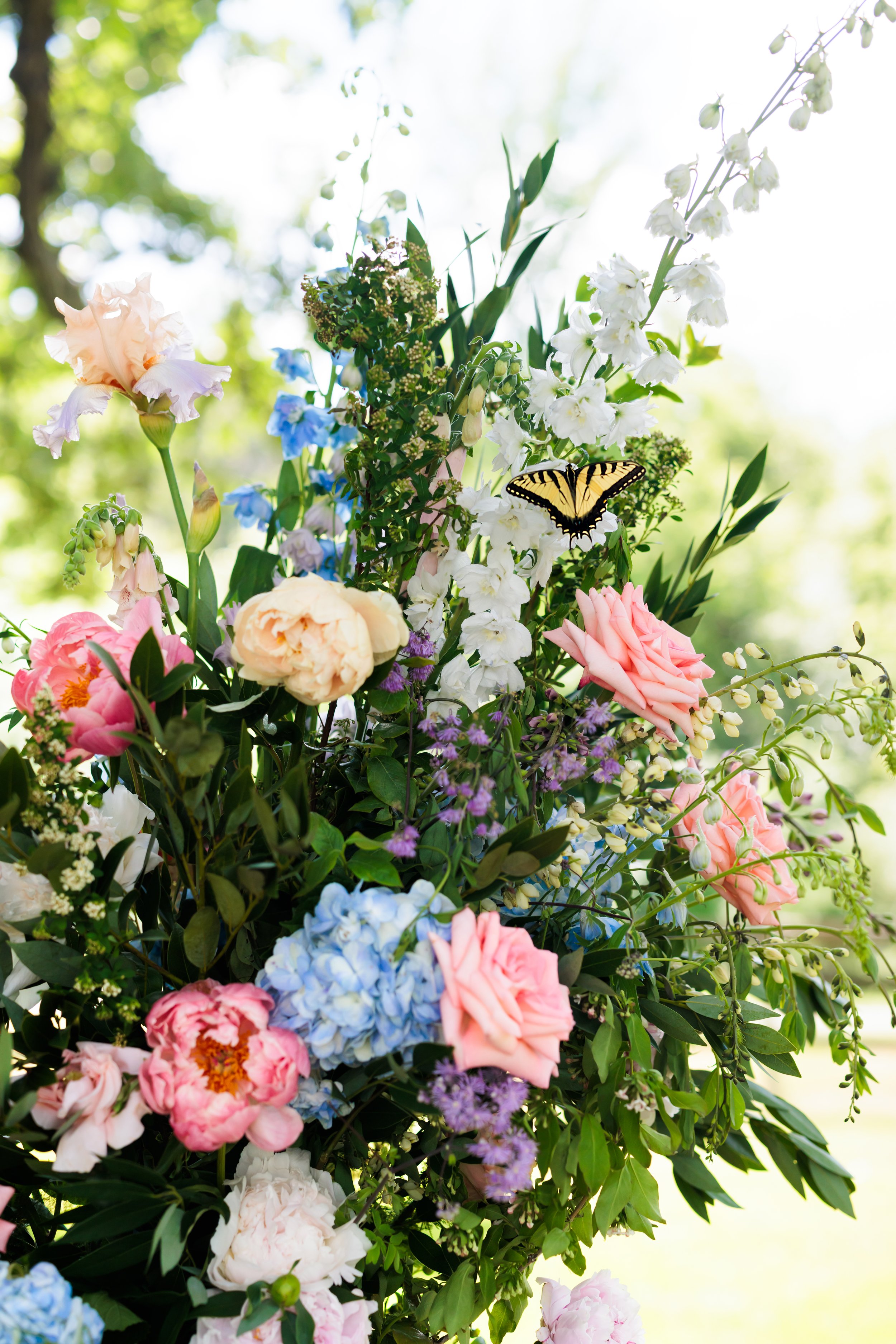 LauraNoah_WeddingPreview_18.jpg