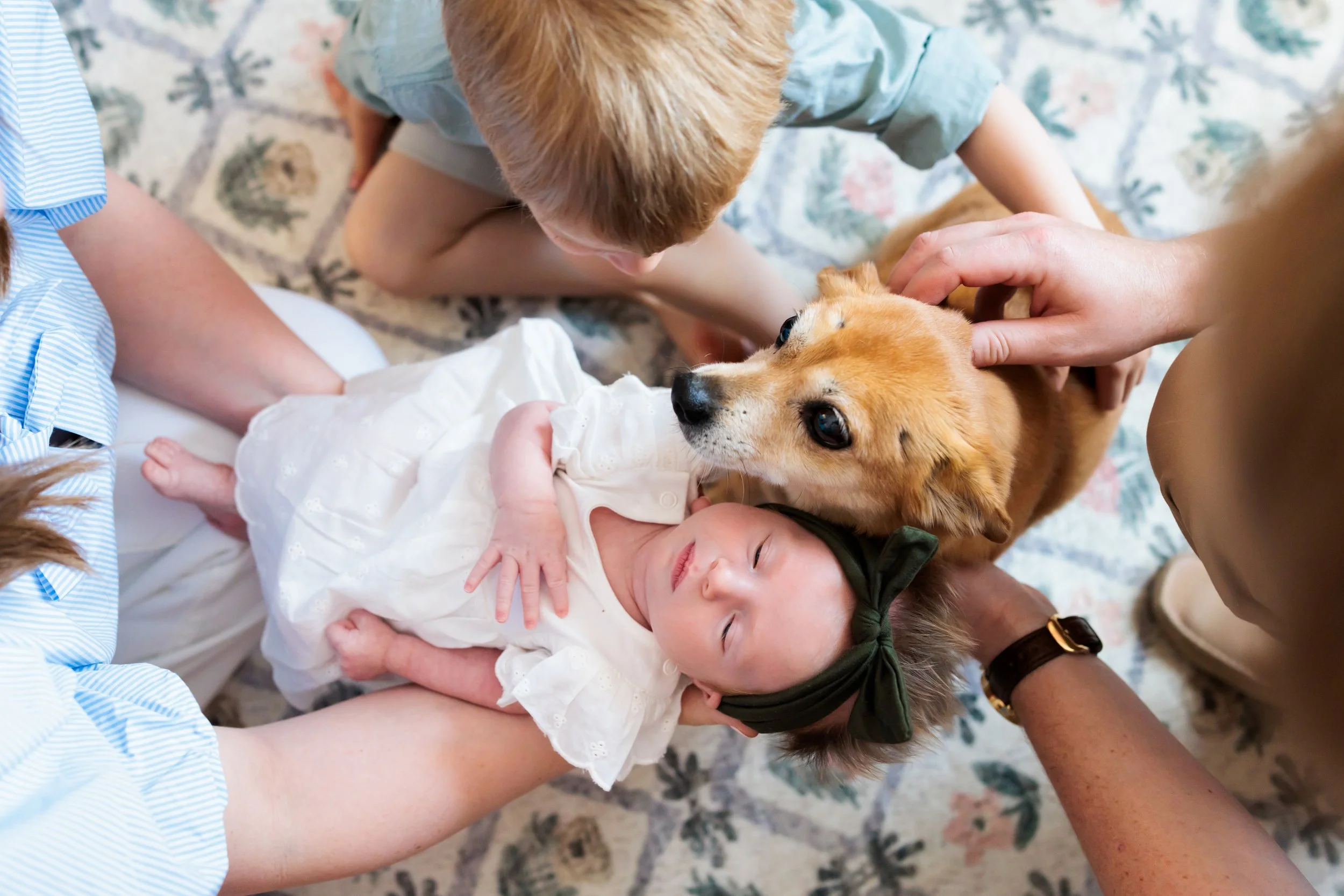 BabyOlive_Edit_06.jpg