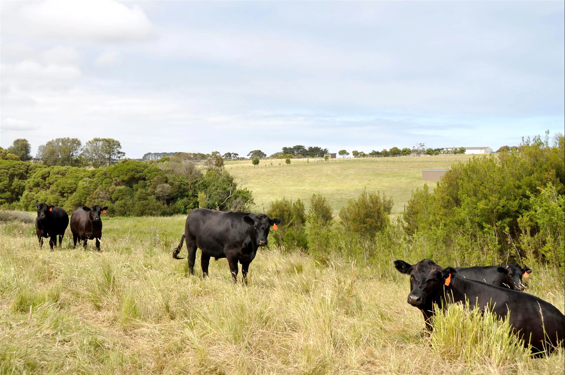 Musk Creek Farm