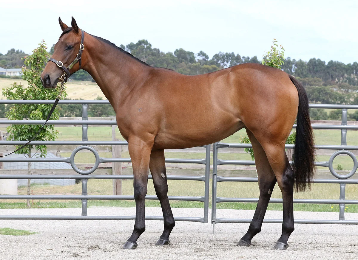 Lot-172---I-Am-Invincible-x-Lissande_lres.jpg