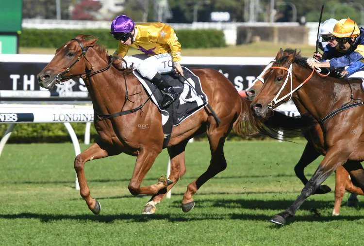 Wolfe Winning at Royal Randwick