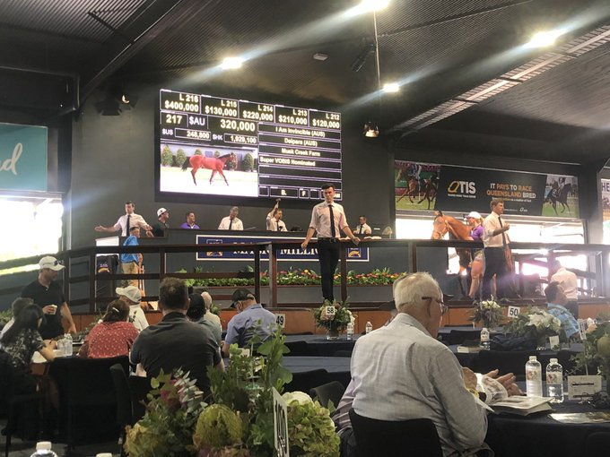 Lot 217 | f I Am Invincible x Deipara (Lonhro) sells at the Magic Millions Gold Coast Yearling Sale. (Image: Thoroughbred Breeders Victoria/Twitter)