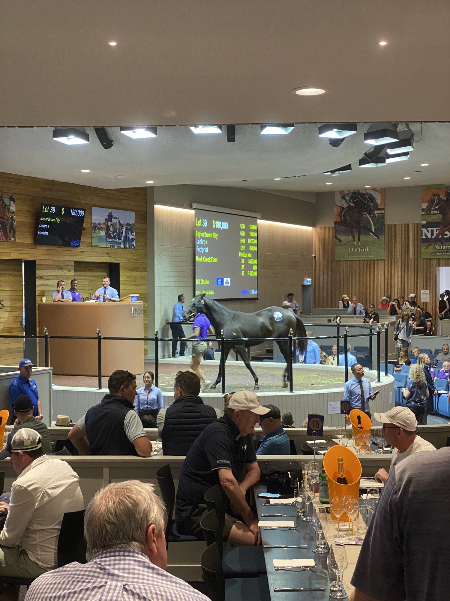 Musk Creek Farm’s Lonhro x Footprint filly selling for AUD$180,000.