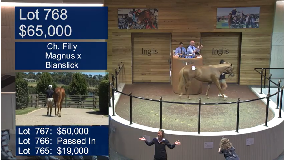Musk Creek Farm sells the Magnus x Bianslick filly for $65,000 on behalf of clients.