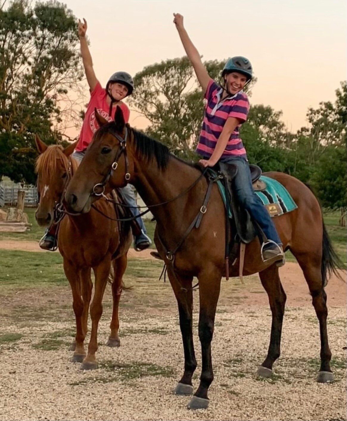 Life is good for former Musk Creek Farm homebred Self Diagnosis (pictured front).