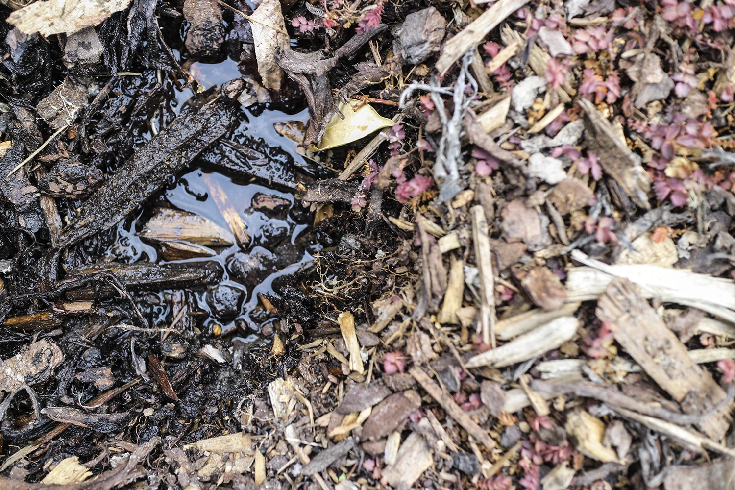 soilsort50.jpg