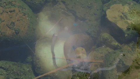 "The Sun Don't Care" MUSIC VIDEO PREMIERE