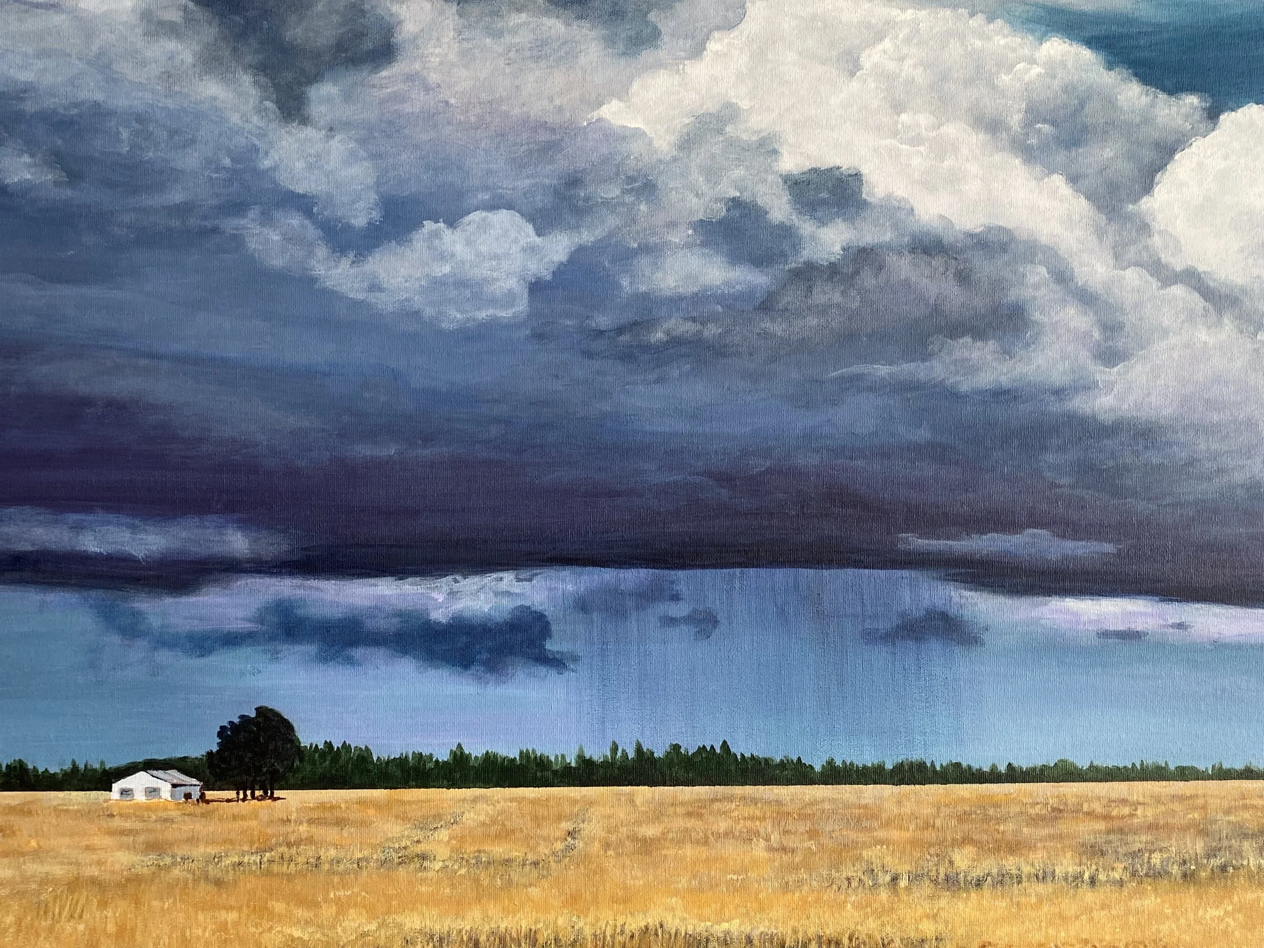 STORM CHASING