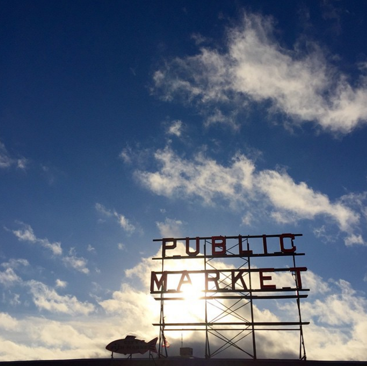 Screen Shot 2016-06-14 at 9.26.31 PM.png