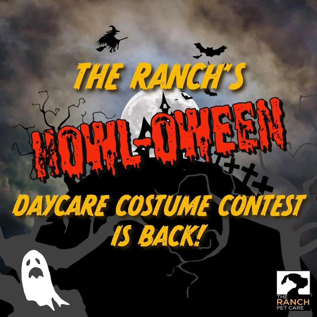 🎃🦇Join us for another spooky #RanchDaycareCrew Howl-oween costume contest on Thurs, Oct 30 (the day before Halloween).🐾⁠
⁠
Bring your little monsters in their scariest (or cutest) costumes for a day of fun! Tasty prizes are on the line for our bes
