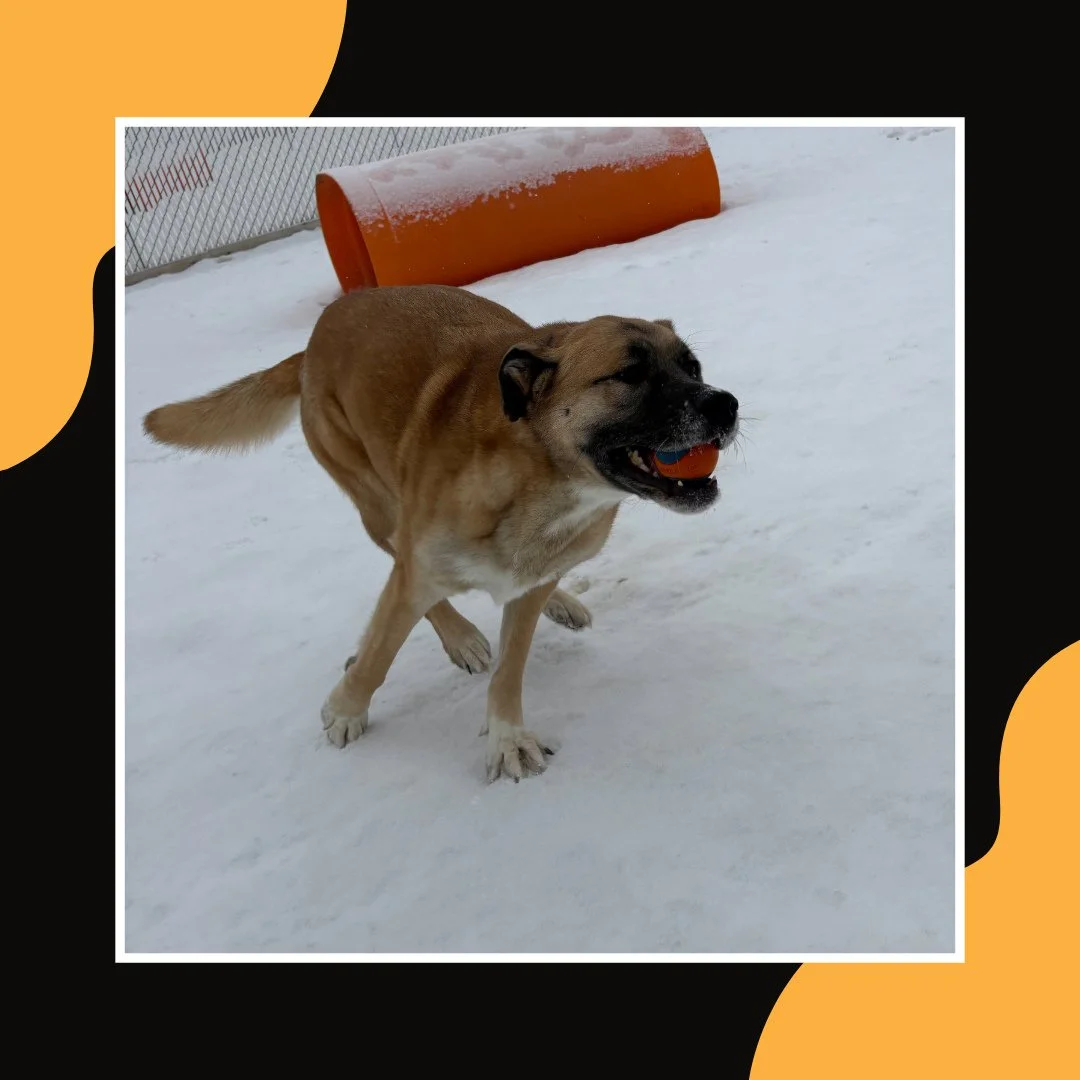 Keep away with May! ❤️❤️❤️⁠