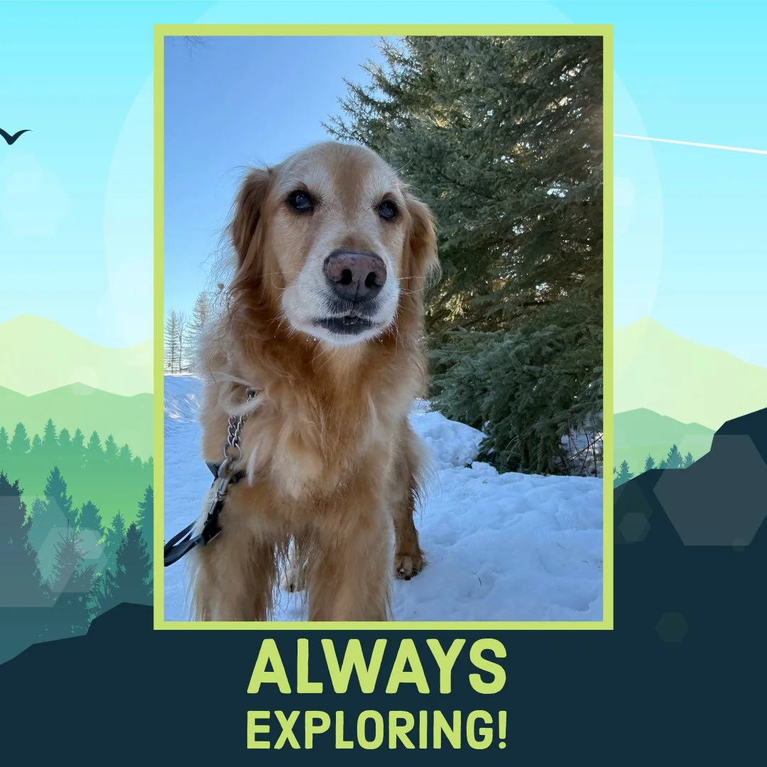 Out on the trails! 🗺️📸⁠
⁠
#TheRanchPetCare #barknride #SturgeonCounty #StAlbert #YEG #dogsofinstagram #doggydaycare #dogdaycare #dogs #yegpets