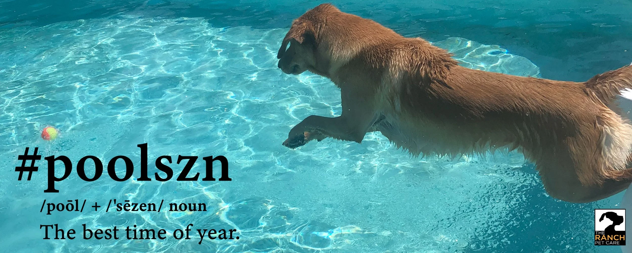 summer 2021 banner.jpg