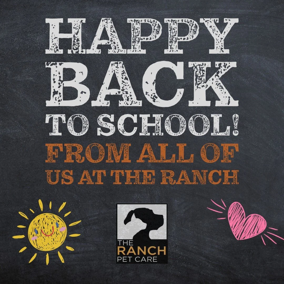 🐾🎒📚️ Wishing everyone a fantastic back 2 school! 📚️🎒🐾⁠
⁠
#TheRanchPetCare #barknride #SturgeonCounty #StAlbert #YEG #dogsofinstagram #doggydaycare #dogdaycare #dogs #yegpets