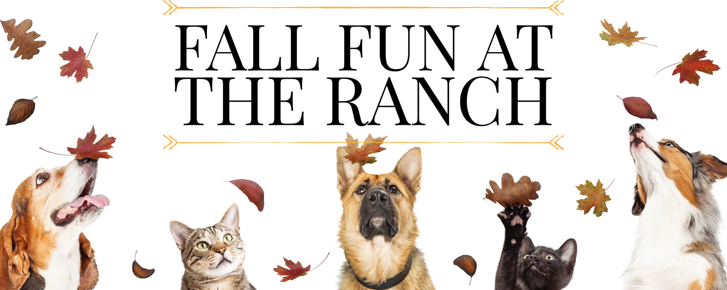Fall Fun.png